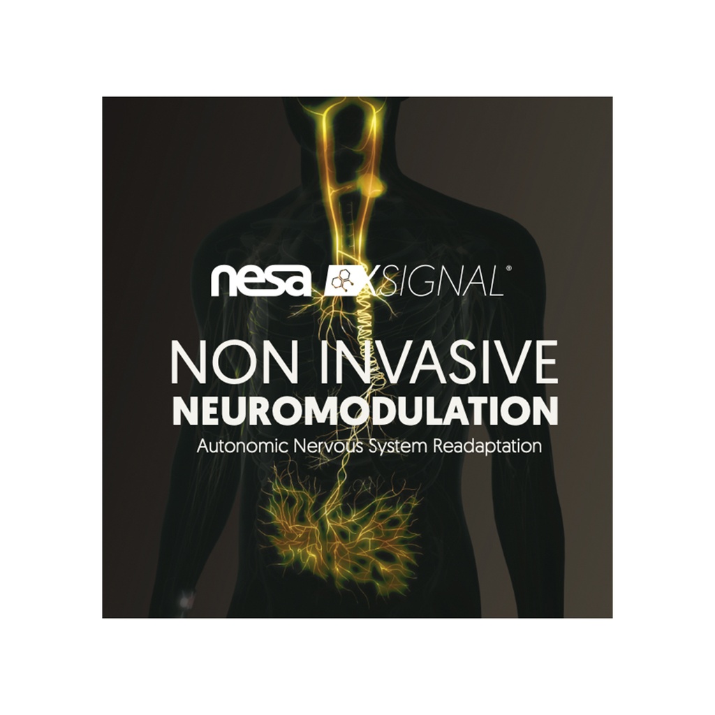 Nervous System Readaptation Diptych