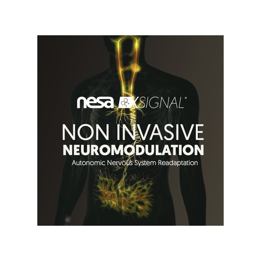 Nervous System Readaptation Diptych